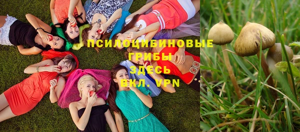 герыч Алексеевка