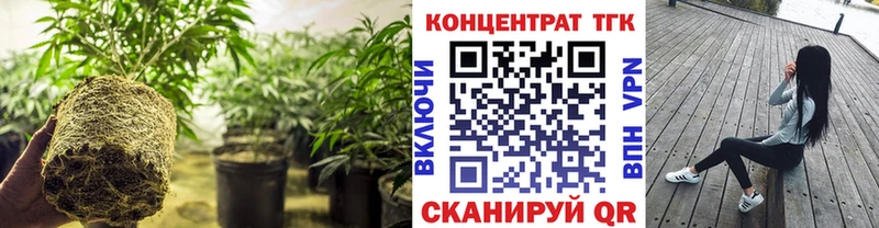 ТГК гашишное масло  Грайворон 