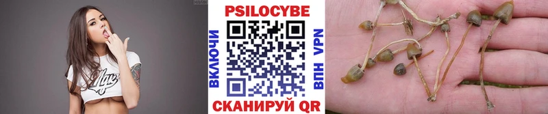что такое   Грайворон  Галлюциногенные грибы GOLDEN TEACHER 