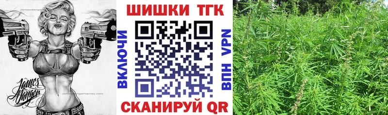сколько стоит  Грайворон  Конопля тримм 